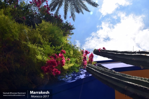 Morocco, Marrakesh, Siamak Travels 055
