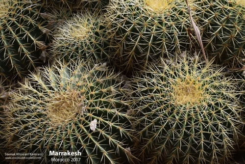 Morocco, Marrakesh, Siamak Travels 062