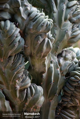 Morocco, Marrakesh, Siamak Travels 065