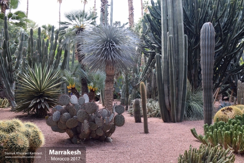 Morocco, Marrakesh, Siamak Travels 068