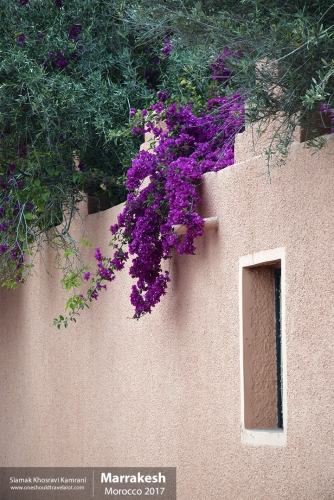 Morocco, Marrakesh, Siamak Travels 075