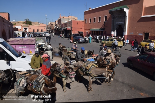 Morocco, Marrakesh, Siamak Travels 088