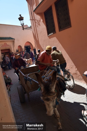 Morocco, Marrakesh, Siamak Travels 127