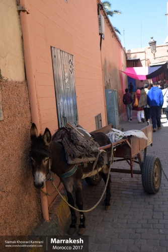Morocco, Marrakesh, Siamak Travels 130
