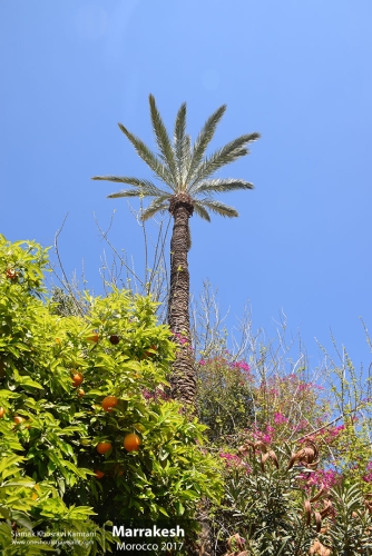 Morocco, Marrakesh, Siamak Travels 166
