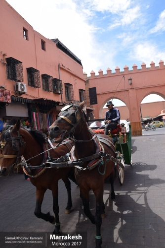Morocco, Marrakesh, Siamak Travels 171