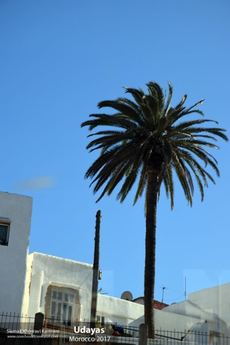 Morocco, Udayas, Siamak Travels 20
