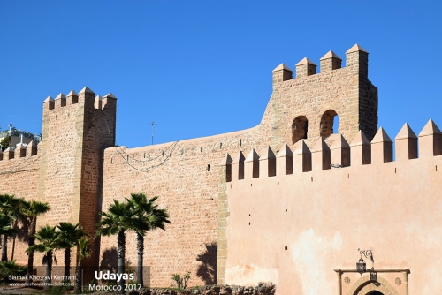 Morocco, Udayas, Siamak Travels 23