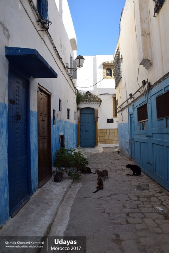 Morocco, Udayas, Siamak Travels 48