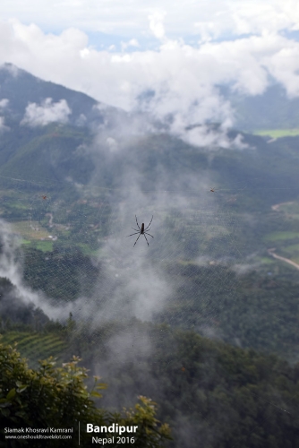 Nepal, Bandipur, Siamak Travels 13