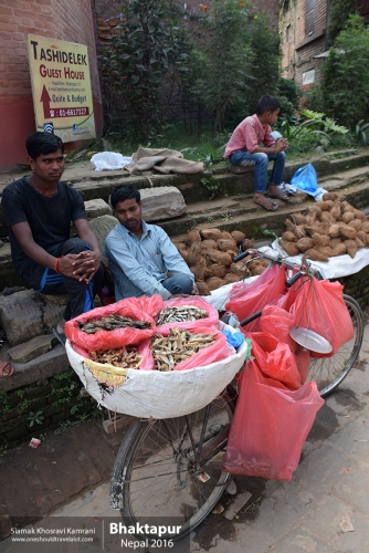 Nepal, Bhaktapur, Siamak Travels 37