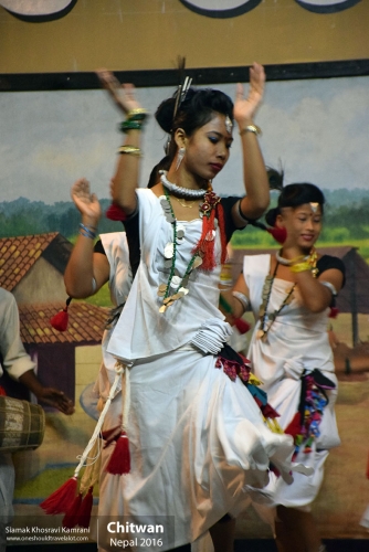 Nepal, Chitwan, Siamak Travels 05