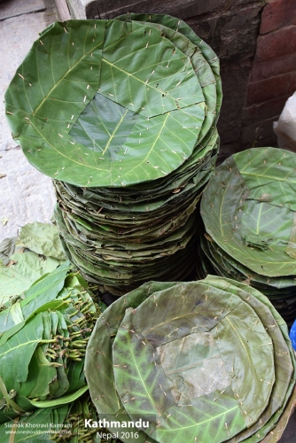 Nepal, Kathmandu, Siamak Travels 119