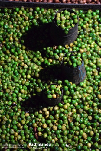 Nepal, Kathmandu, Siamak Travels 146