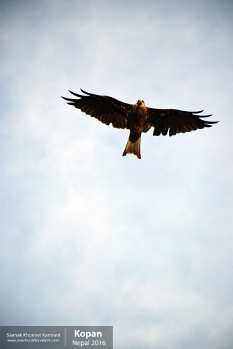 Nepal, Kopan, Siamak Travels 20