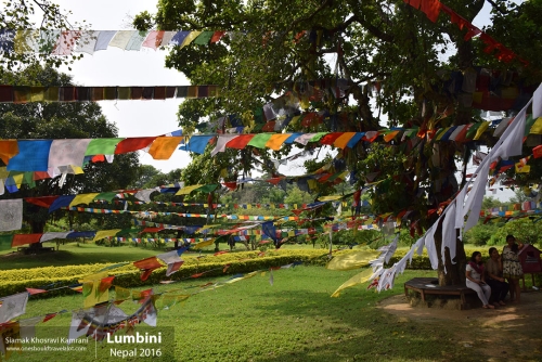Nepal, Lumbini, Siamak Travels 07