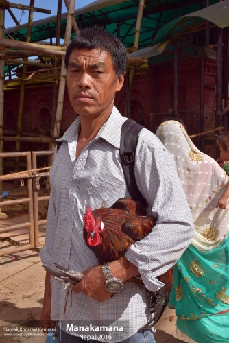 Nepal, Manakamana, Siamak Travels 08