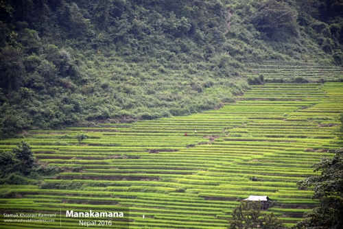 Nepal, Manakamana, Siamak Travels 15