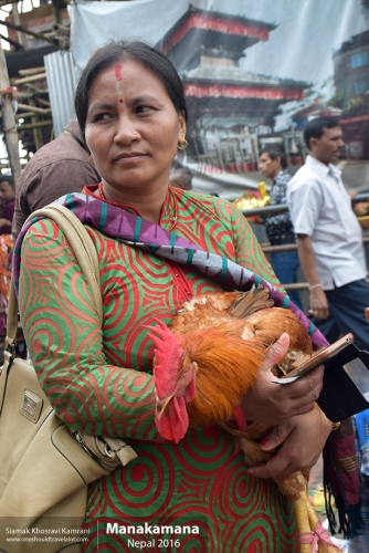 Nepal, Manakamana, Siamak Travels 18