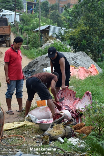 Nepal, Manakamana, Siamak Travels 20