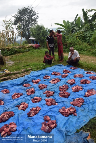 Nepal, Manakamana, Siamak Travels 46