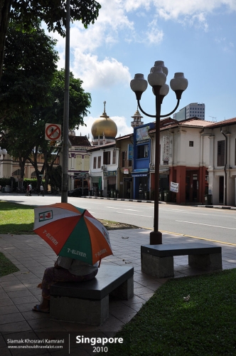 Singapore, Siamak Travels 15