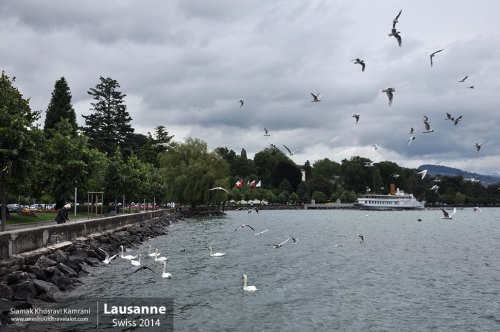 Swiss, Lausanne, Siamak Travels 2