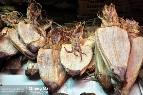 Thailand, Chiang Mai, Siamak Travels 040