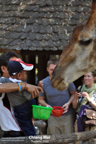 Thailand, Chiang Mai, Siamak Travels 120
