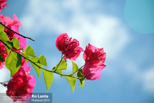 Thailand, Ko Lanta, Siamak Travels 04