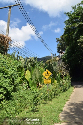 Thailand, Ko Lanta, Siamak Travels 05