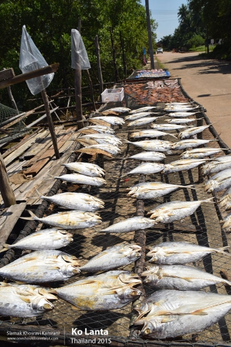 Thailand, Ko Lanta, Siamak Travels 10