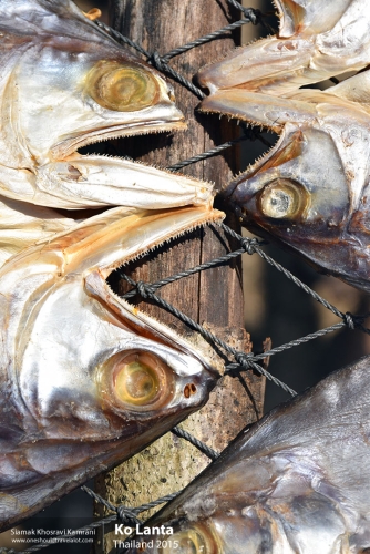 Thailand, Ko Lanta, Siamak Travels 11