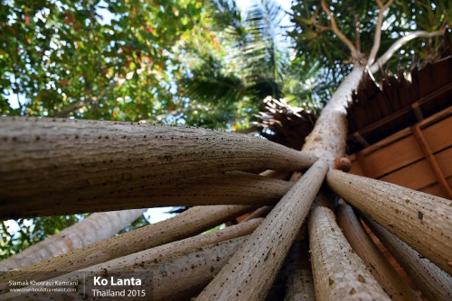 Thailand, Ko Lanta, Siamak Travels 20