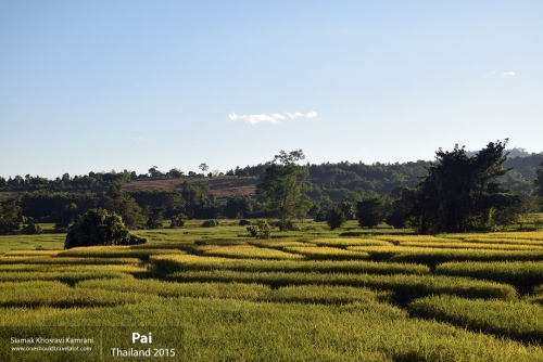 Thailand, Pai, Siamak Travels 17