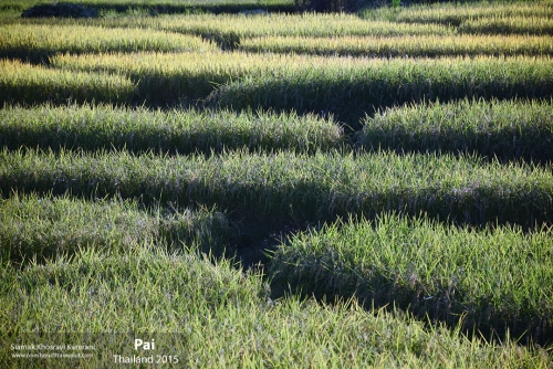 Thailand, Pai, Siamak Travels 18