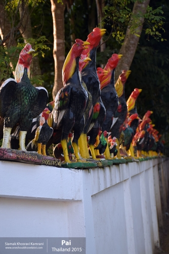 Thailand, Pai, Siamak Travels 19