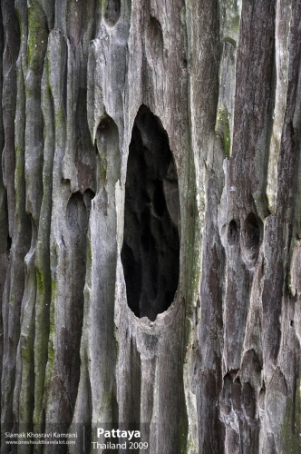 Thailand, Pattaya, Siamak Travels 003