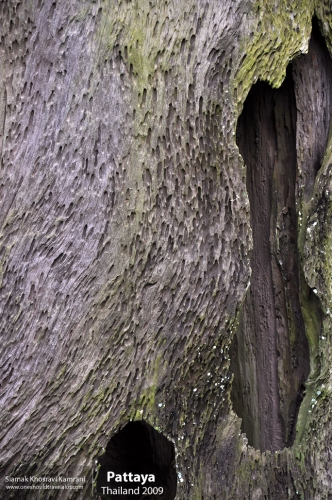 Thailand, Pattaya, Siamak Travels 005