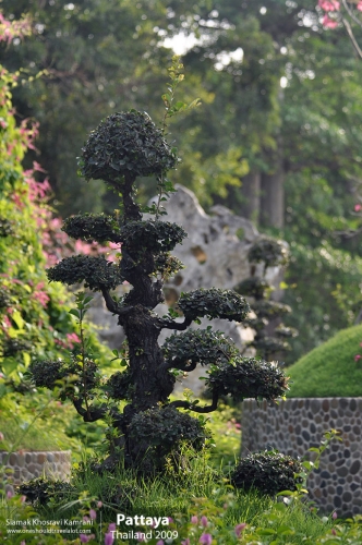 Thailand, Pattaya, Siamak Travels 006