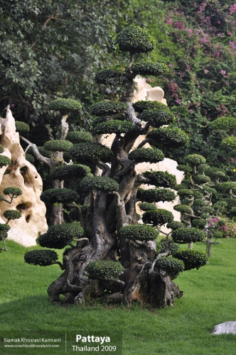 Thailand, Pattaya, Siamak Travels 014