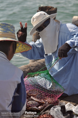 Thailand, Pattaya, Siamak Travels 020