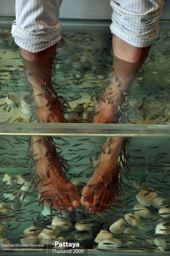 Thailand, Pattaya, Siamak Travels 022