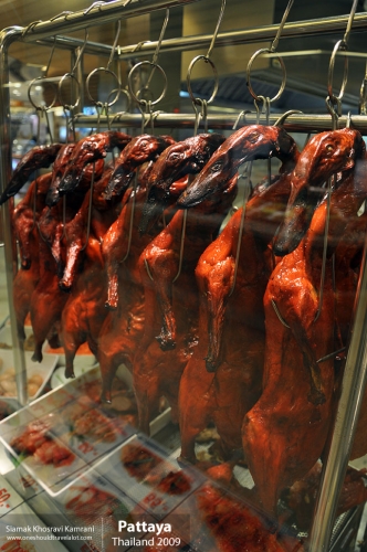 Thailand, Pattaya, Siamak Travels 025