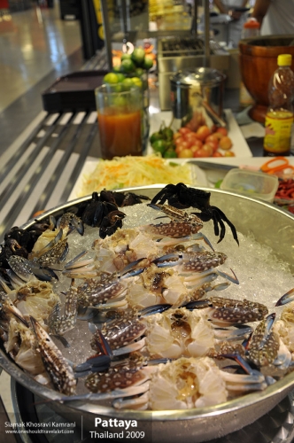 Thailand, Pattaya, Siamak Travels 028