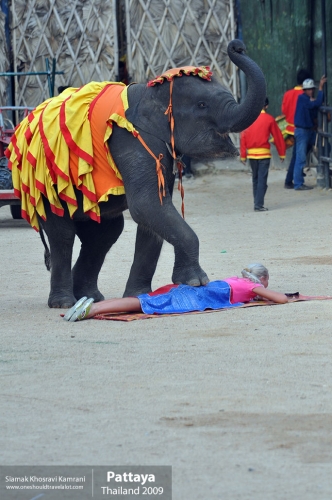 Thailand, Pattaya, Siamak Travels 060