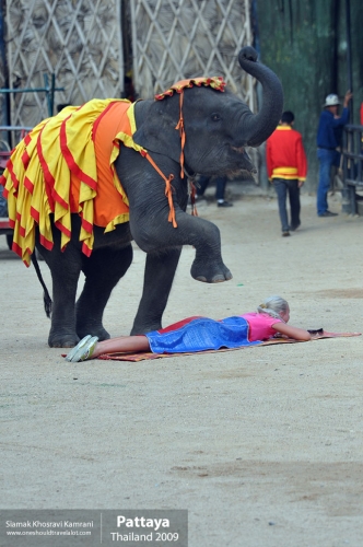 Thailand, Pattaya, Siamak Travels 061