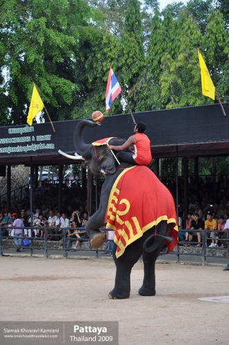 Thailand, Pattaya, Siamak Travels 064