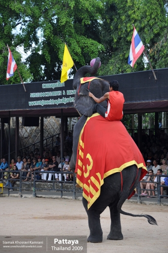 Thailand, Pattaya, Siamak Travels 065