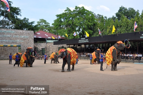 Thailand, Pattaya, Siamak Travels 067